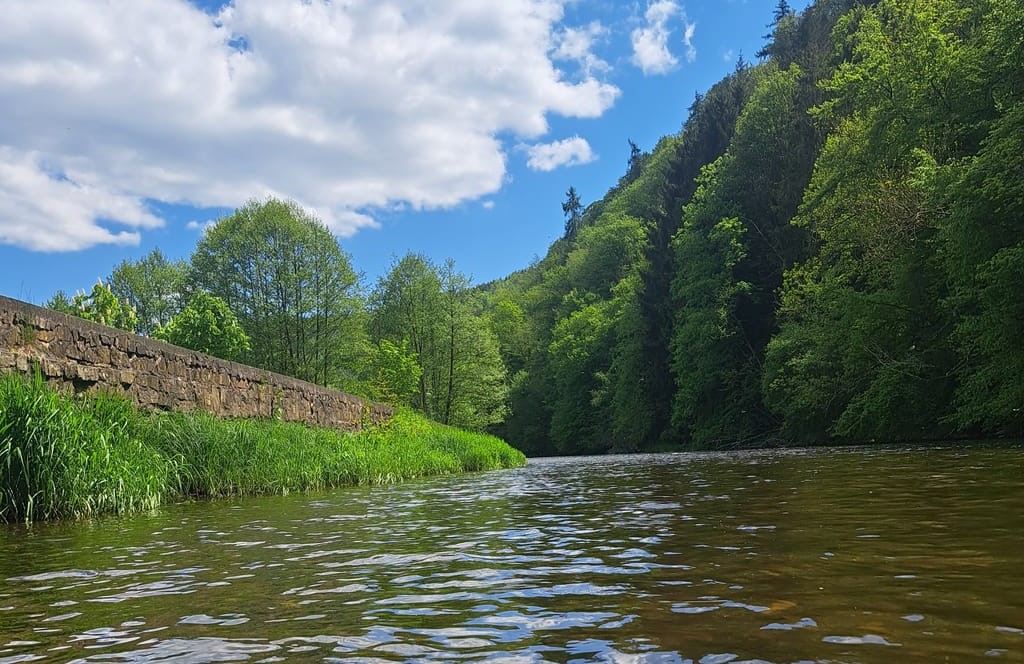 Prachtig natuurgebied in de Belgische Ardennen