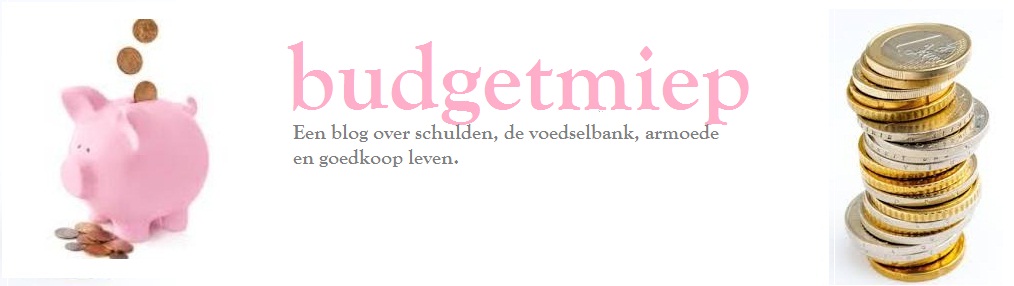 budgetmiep